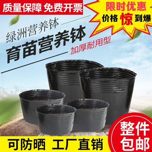 营养钵育苗盆营养杯育苗杯育苗盆塑料花盆黑色营养杯加厚