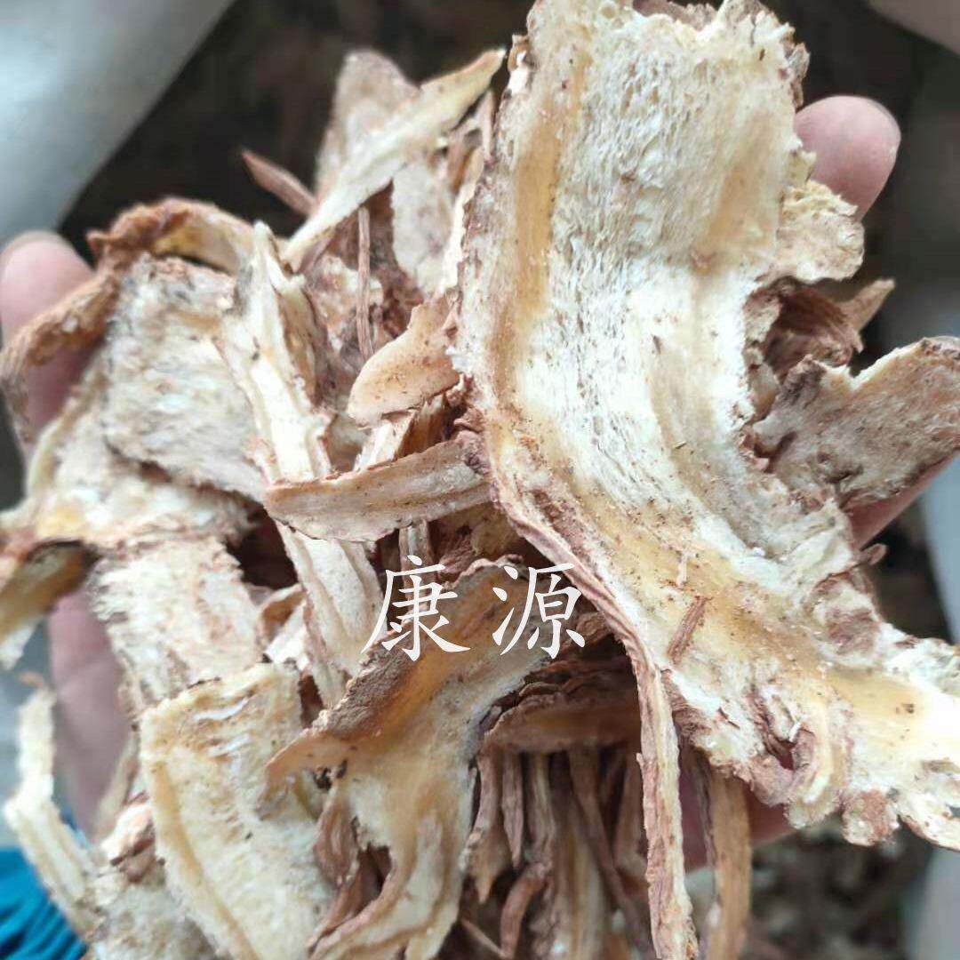 当归质一350棵树大全优优归片过筛全归甘片肃质货源