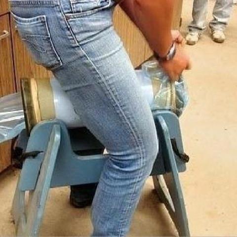 美国科罗拉多型马驴采精