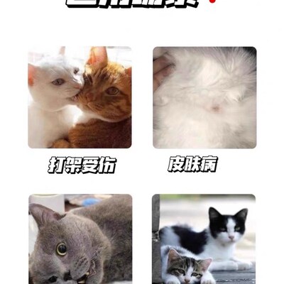 猫咪围小头套伊丽耻白圈脖圈防舔舐隔离罩莎辱罩术后保护脖猫脖枕