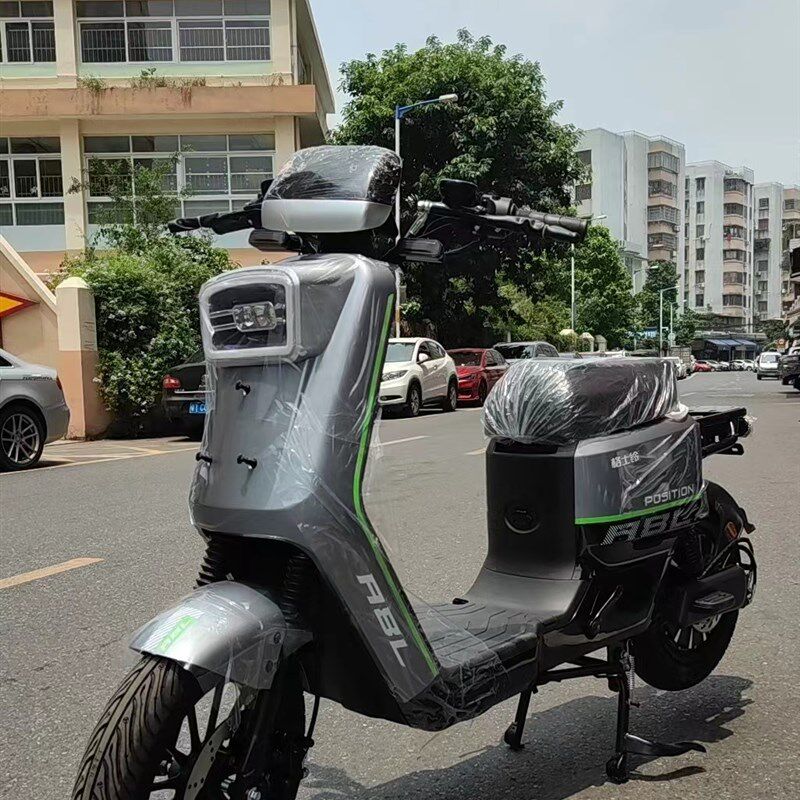 格士铃a8L新国标超强动力电动自行车外卖代步家用锂电池外卖电动