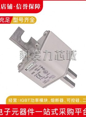 170M4965/4966/4967/4968/4969/4970/497/4972/4973/4974熔断器