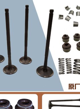宗申NC250华洋T6泰坦气门 正林波速尔歼5鑫源X6极盗者气门油封