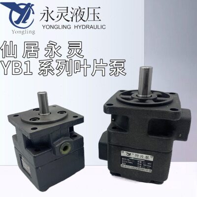 仙居永灵叶片泵YB1-4 YB1-10 YB1-50 YB1-100/2.5/6.3/80/125YLC