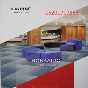 办公室地毯道成方块拼接台球厅卧室客厅加厚阻燃大厦商用上海铺装