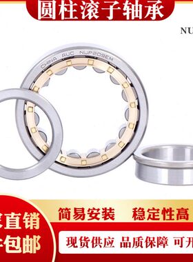 圆柱滚子轴承NUP 2215 2216 2217 2218 2219 2220 EM