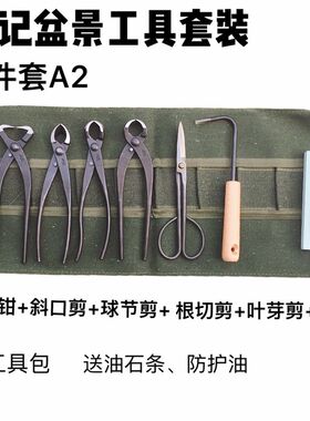 朱记昌国工景盆具具装叉枝剪球节剪破杆剪根切铝线剪盆景工套套装