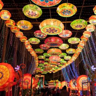 吊挂灯笼凤凰花灯大唐不夜城文旅灯笼户外防水景区亮化装饰灯笼墙