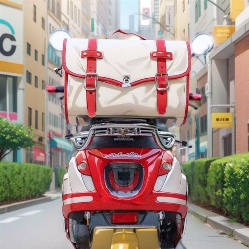 尾箱复古机车后备箱大容量电动车后背非铝合金尾箱ns12Z5la尾箱