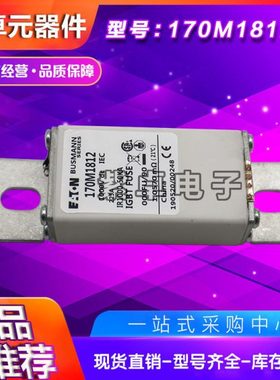 170M1812 170M1813 170M1824 170M1825 170M1826巴斯曼快速熔断器