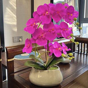 花蝶兰花盆栽新装厂家直供款假花套客厅电视柜中式陶瓷盆蝴摆件包