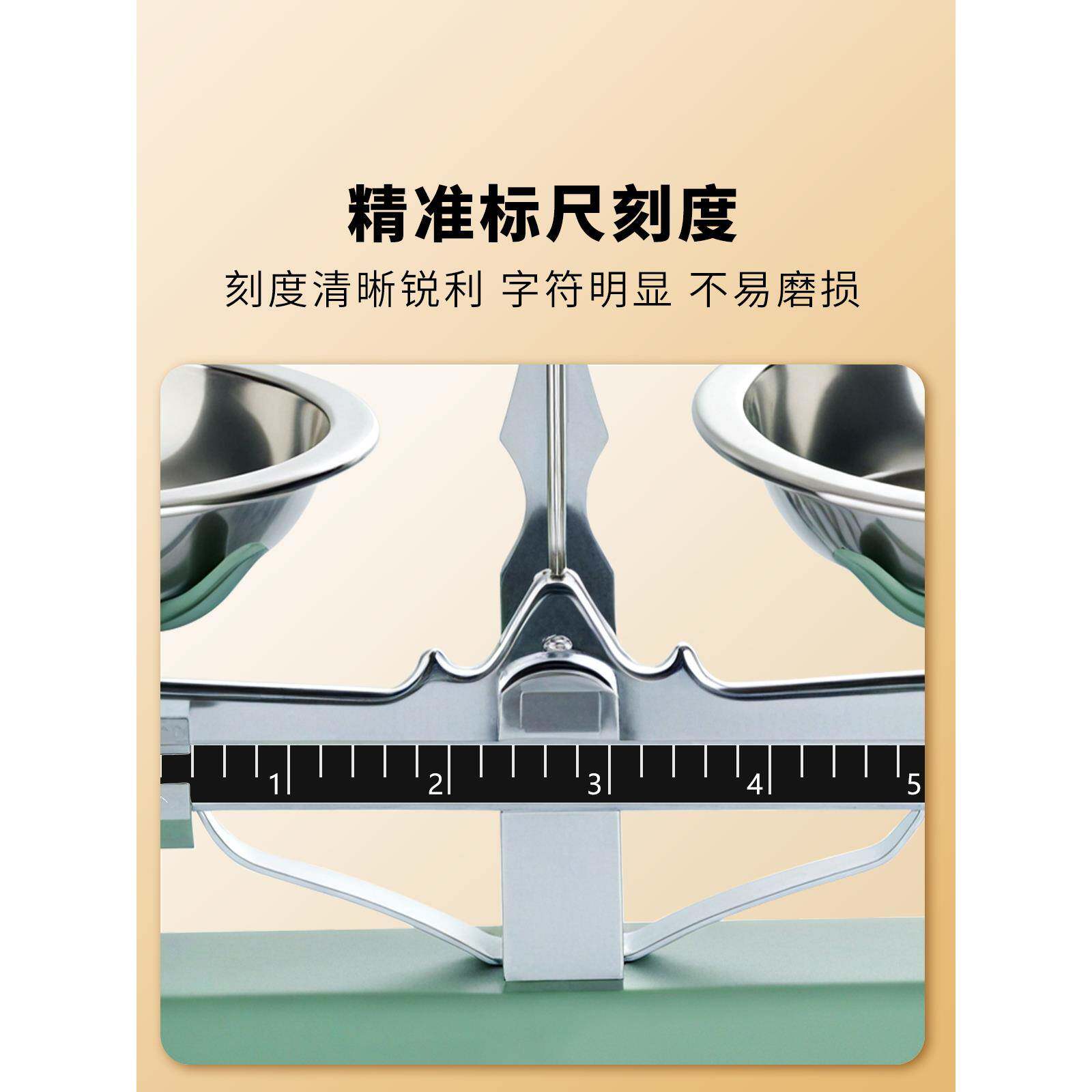 托天平验秤教具小盘学初中11004型物理高机精度工业械天平称学生
