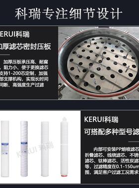 密过P滤器处工业水理二级反渗透保安过精滤机P熔喷滤芯过TTD滤器