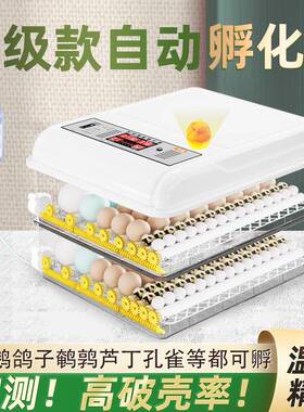 家用孵蛋机孵蛋器小鸡器鸭鹌型鹑鸽子芦丁鸡儿童鹅全自动DBW孵化