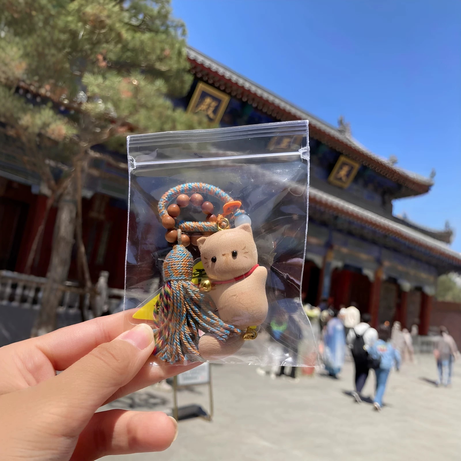 你的霉运被招财猫猫赶走了！挂件图片