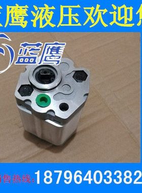 CBD-F10.16/F10.25L1B-BA齿轮泵CBU-F110油泵CBK-H226/H230双向泵