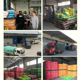 斤蛋必5%产蛋鸡殖鸡产蛋鸡预混料50装提高产蛋率延长产蛋高峰养选