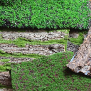 觅点 仿真绿f植草皮草坪植物墙天然树皮森系园艺装饰背景拍摄道具