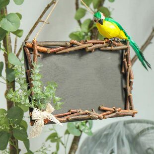 黑板记事板摆件幼儿园森系植物角户外装饰园区景观别墅庭院花园