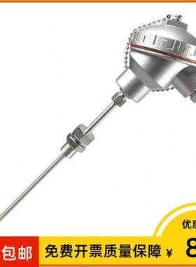 WZPK2-228 双支热电阻 PT100 Φ8*250mm 0-400度300℃ 螺纹1/2npt