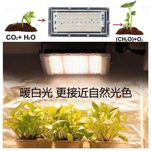 植物光灯全光谱果阳光雨PIP林多肉大棚蔬花生长代灯爆藻水草灯补