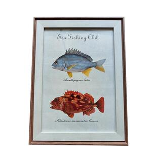 黄鳍棘鲷褐石菖鲉WGV公石狗公画A4画框挂摆墙摆件打印挂画画