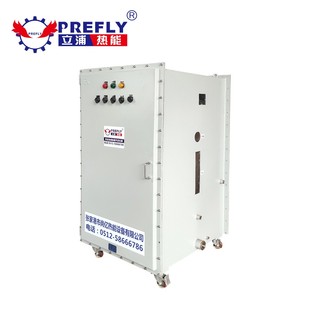 防爆型电蒸汽发生器石油原料存储电加热蒸汽发生器BT4BT5CT4