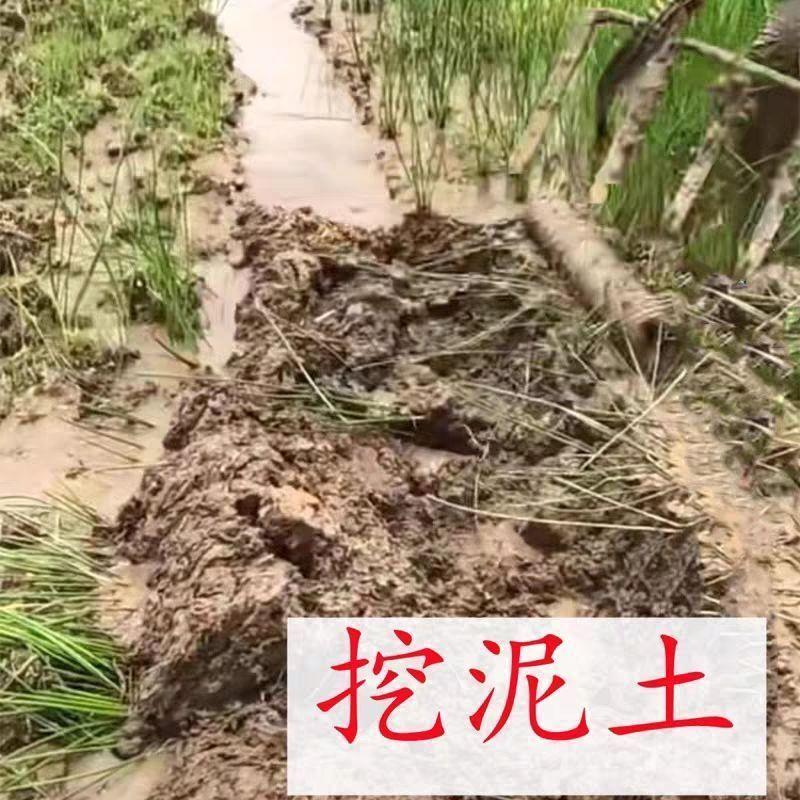 翻土神器叉子农用钢叉挖