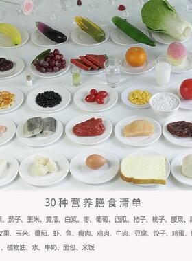 厂家供应营养膳食塔模型JYZ-SS00金塔饮食指导字食物换宝份道具大