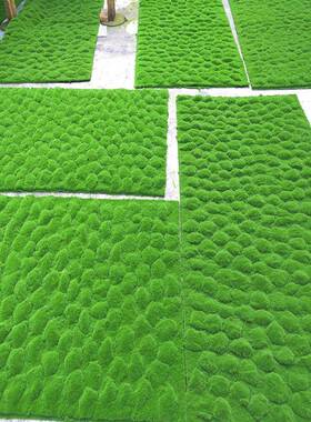 仿真青苔草皮景植鼓包苔藓装草坪软仿真物墙绿色植物场橱窗XH-CP0