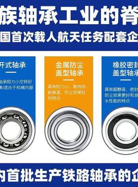 LYC洛阳轴集团62216222无品牌/6246226622承8623062232E2Z2RZ