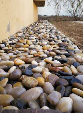 0斤鹅卵铺石五XLY原彩户外庭院花园造景雨花石5石天然路铺地石头