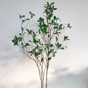马木真橱窗造景装枝饰麻醉木简约醉景观摆干件树枝干花