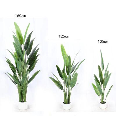 北欧蕉天堂鸟仿真美人蕉地植SB88-2物假内盆栽旅人落盆景室装饰绿