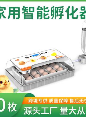 HHD20枚孵器禽小鸡孵化养化殖孵器蛋可自动上水孵化机养STO殖家户