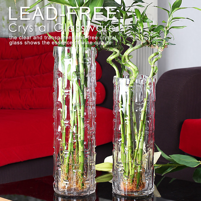 现代简约富贵竹花瓶摆件转运客厅玻璃插花透O明特大号水培家用落