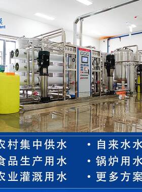 纯水处理设备水食品水设备纯机净水设64006备反渗透处理纯设备厂