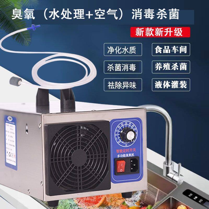 臭氧水发生器水处理消毒机两用型处理器可消毒杀菌净化水质臭氧机