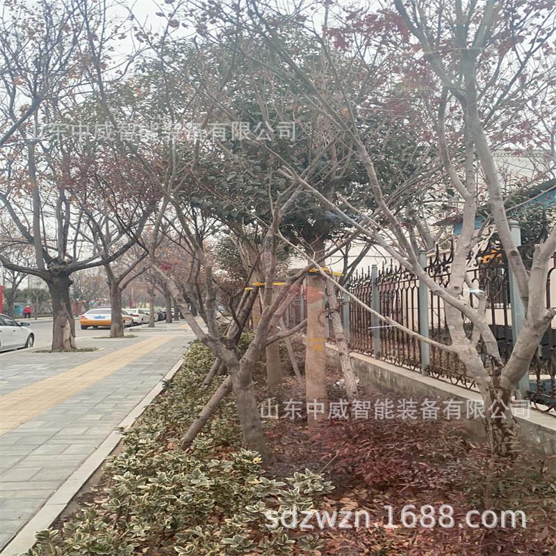 树木支撑固定套杯绑带齐全 质优价廉 园林植物防风防倒支撑固定架