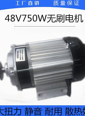 48V750W800W无刷直流电机三轮车电机中置电机大扭力优质电动车