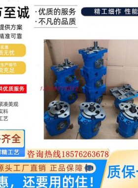 济南泉城CBGFa-2100/2080/2063/2050/2040四川长江铲车齿轮泵 B1R