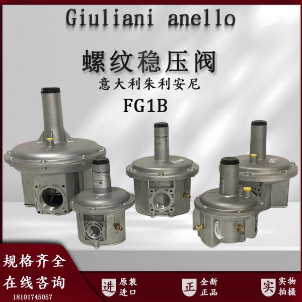 朱利安尼减压阀FG1B15/FG1B50稳压阀Giuliani anello燃气调压器