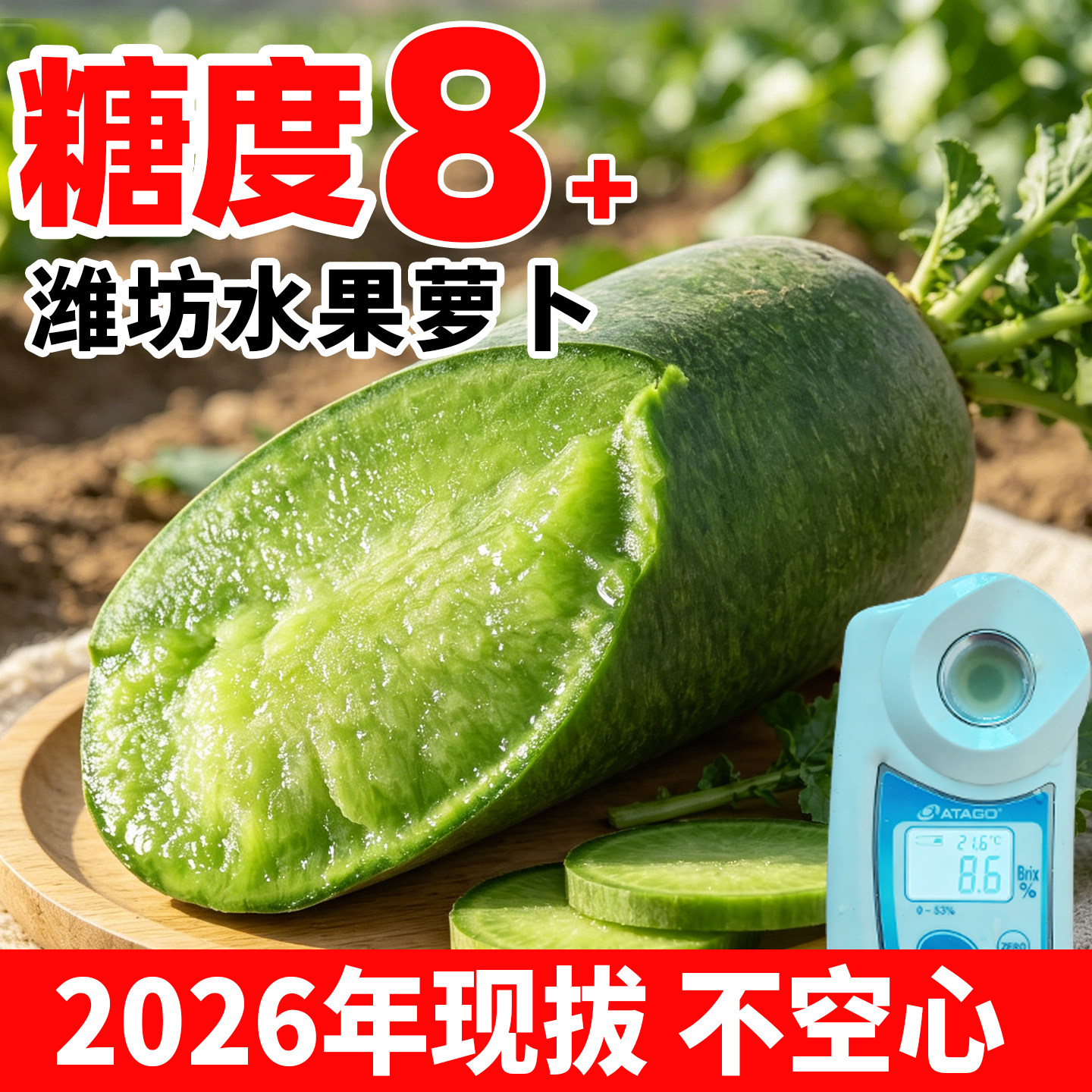 生吃水果萝卜新鲜山东潍坊特产潍县正宗脆梨青绿萝卜现拔产地直发