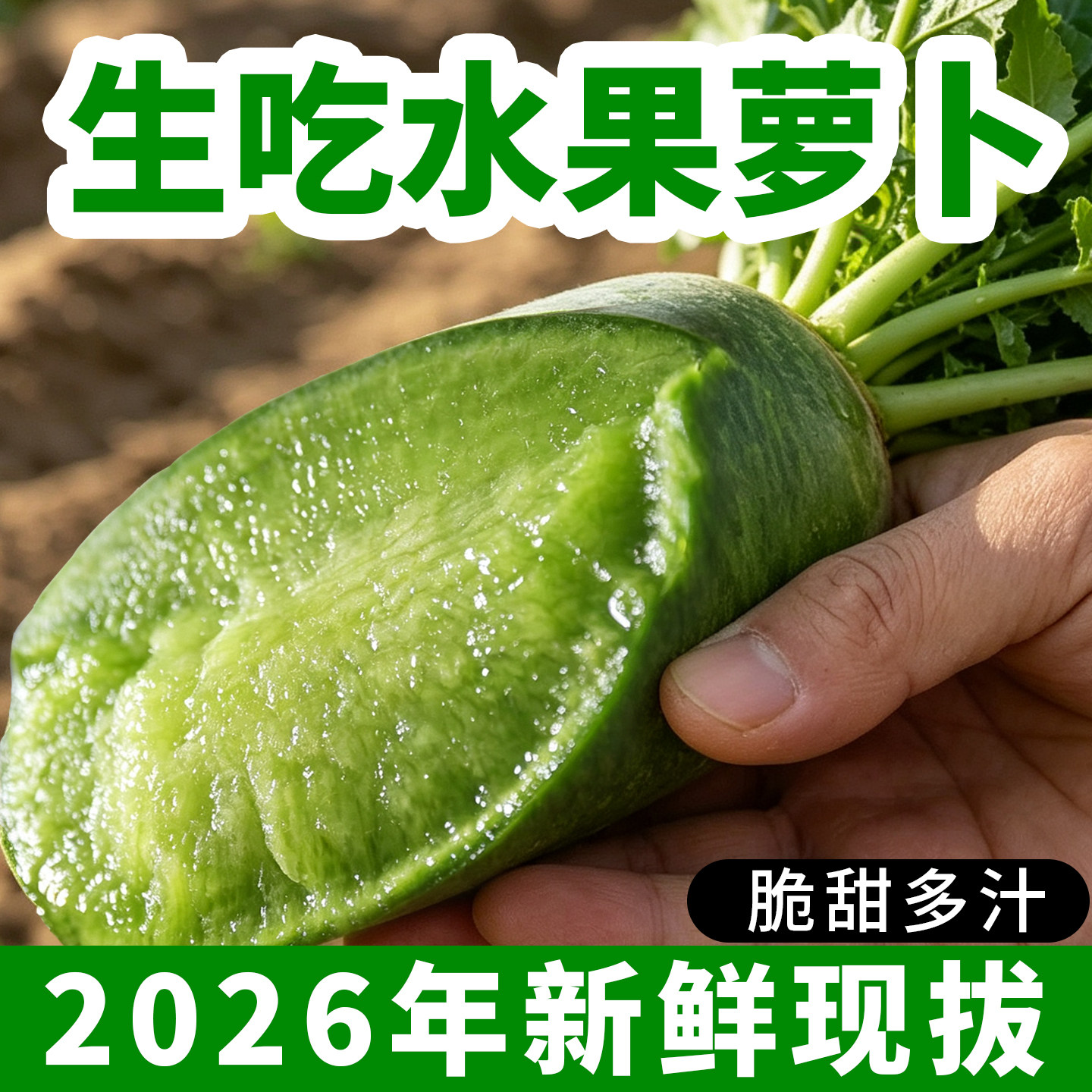 正宗潍坊水果萝卜新鲜生吃甜脆山东潍县特产青萝卜可生食产地直发