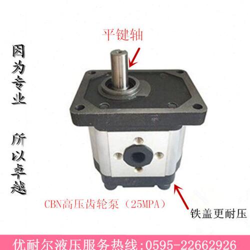 SR液压齿轮油泵CBN-G304 CBN-G306 CBN-G310/314/316/320 25MPa