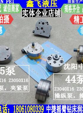 Z3040 Z3050X16沈阳中捷摇臂钻床油泵 45泵 夹紧泵 锁紧泵1 44泵