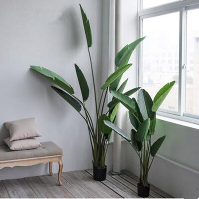 感北欧仿真堂鸟天旅人居蕉植物盆栽大型绿植摆SHSJ8941件家装饰