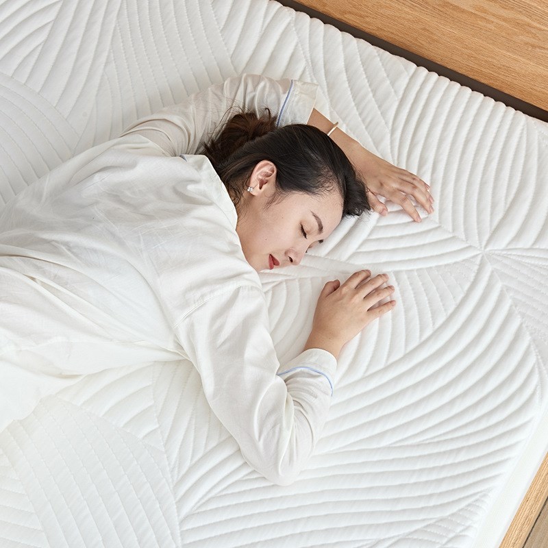 ZQSW记忆棉床垫软垫乳胶榻榻米垫子褥子床褥家用学生宿舍可折叠