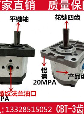 齿轮泵CBN/CBT-E F304/F306/F310/F312/F314/F316/F320/F325油泵