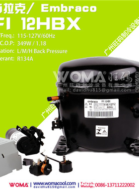 全新进口Embraco 恩布拉克FFI12HBK 220-240V FFI12HBX 110V 60HZ